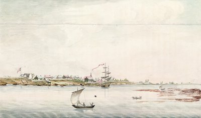 View of the Town and Fort of Detroit by French School